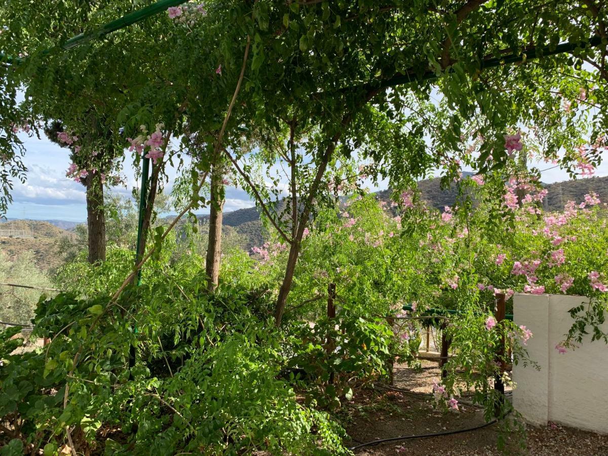 La Casita Blanca- La Almona Chica